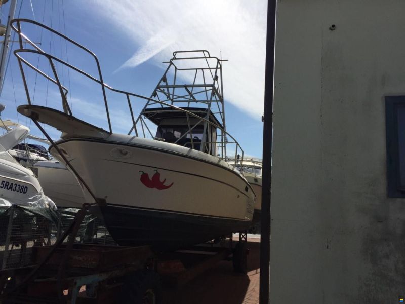 Robalo 26 Cavin Walkaround