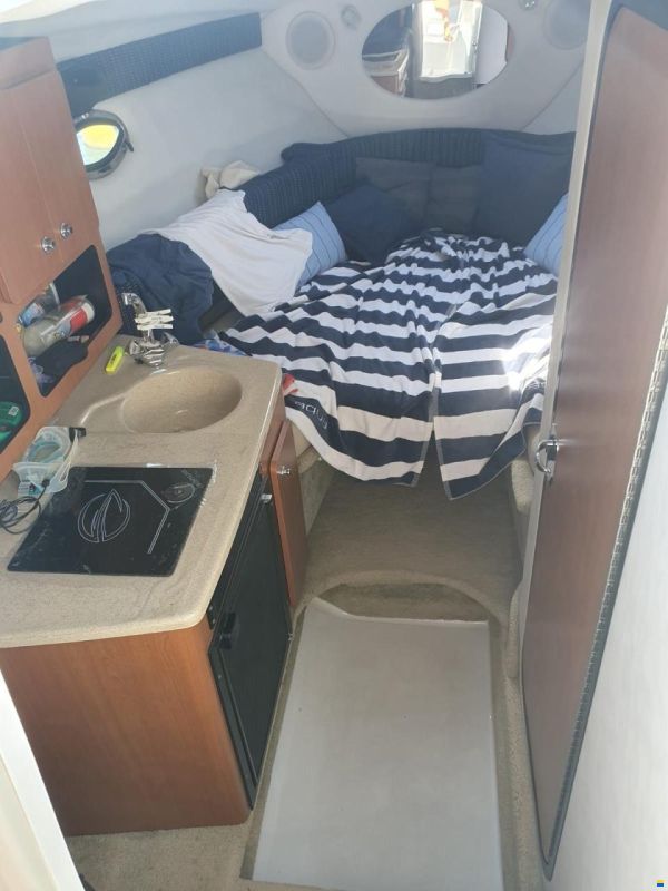 Crownline 270 CR