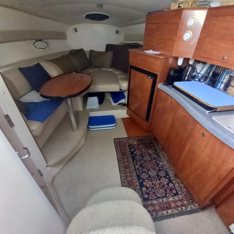 Larson Boats LARSON 310 CABRIO