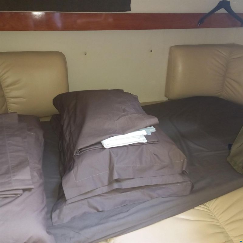 Larson Boats LARSON 310 CABRIO