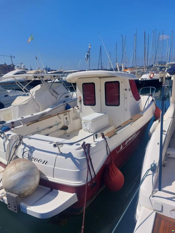 Arvor 230 AS