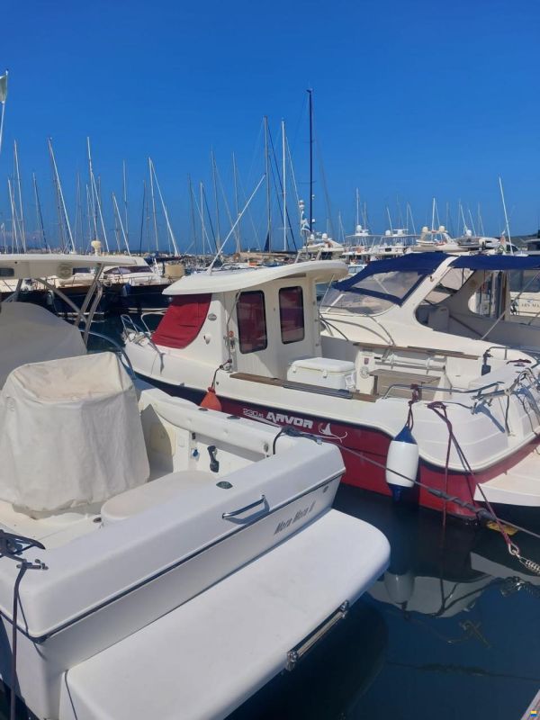 Arvor 230 AS