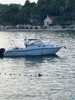 Boston Whaler BOSTON 305 CONQUEST