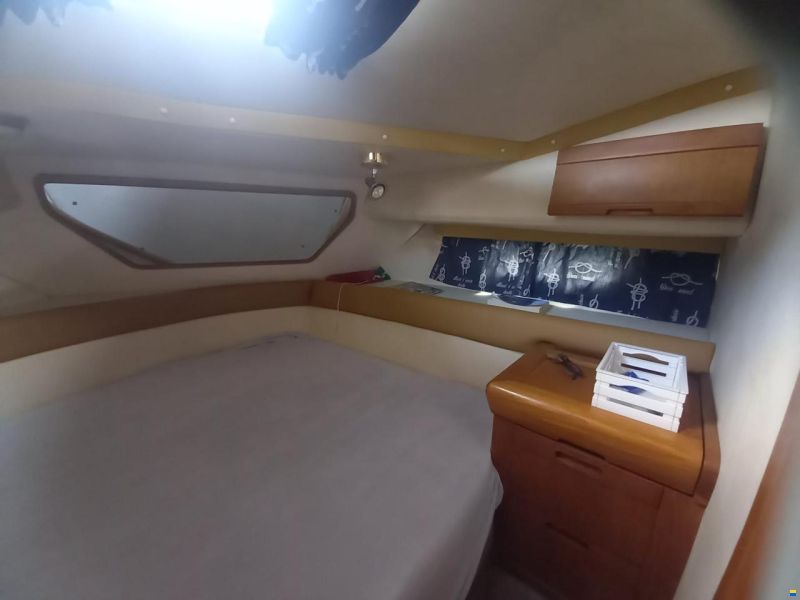 Sealine 365