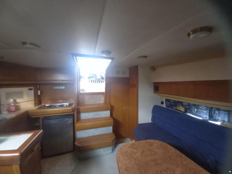 Sealine 365