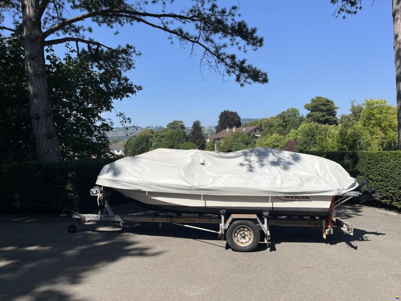 Boston Whaler Montauk 17