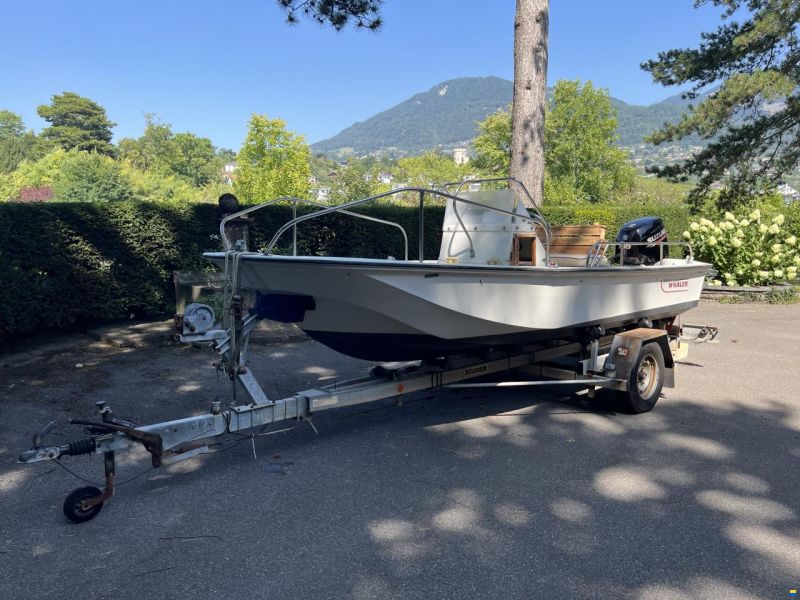 Boston Whaler Montauk 17