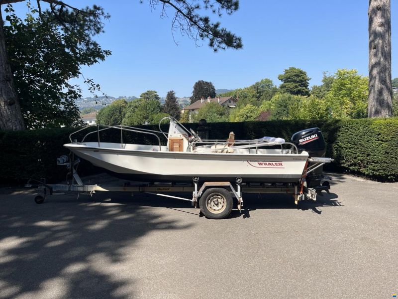 Boston Whaler Montauk 17