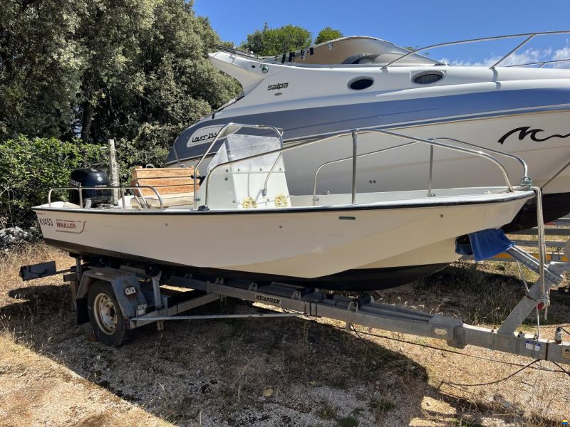 Boston Whaler Montauk 17