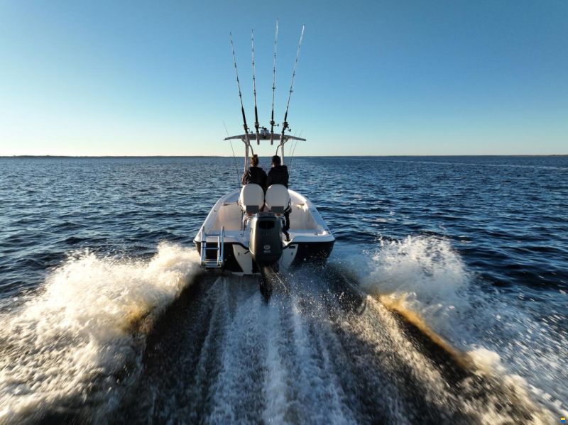 Suzuki DF115BTL-STEALTH