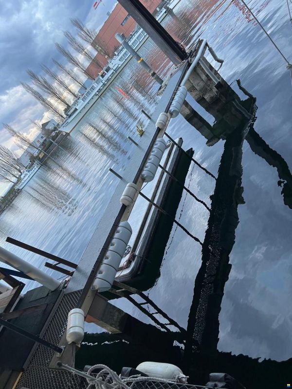 Place sous couvert au port du nid-du-Crô