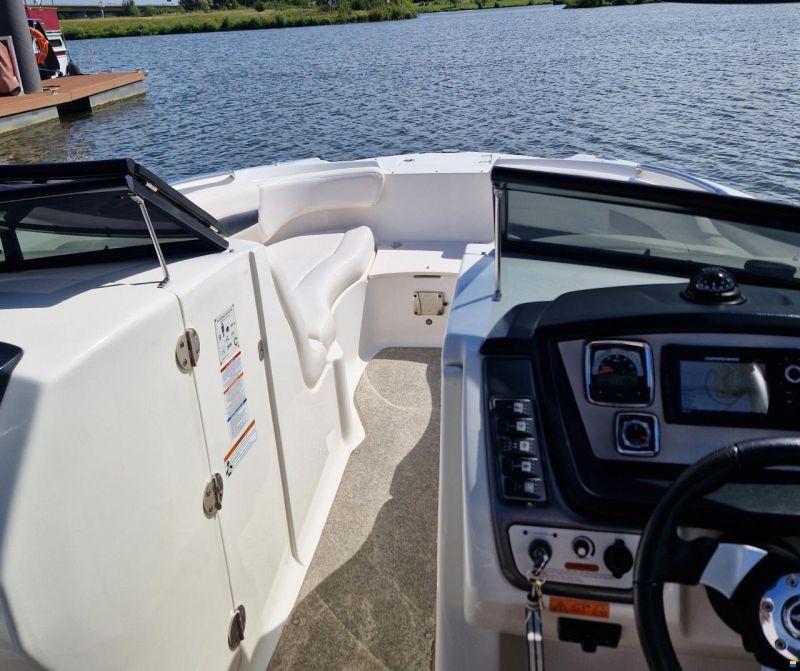Chaparral Sunesta 244