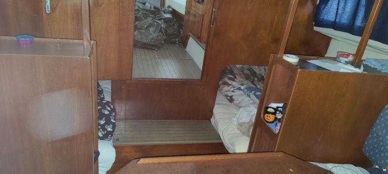 Scand Classic 25