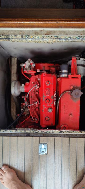 Scand Classic 25