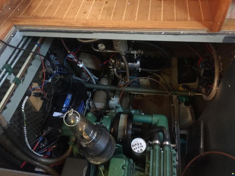 De Steven Smelne 1300