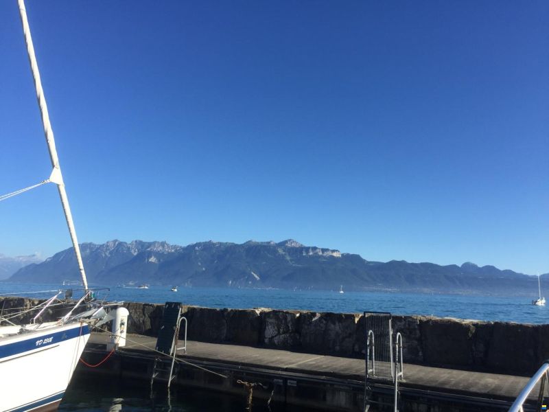 De Steven Smelne 1300