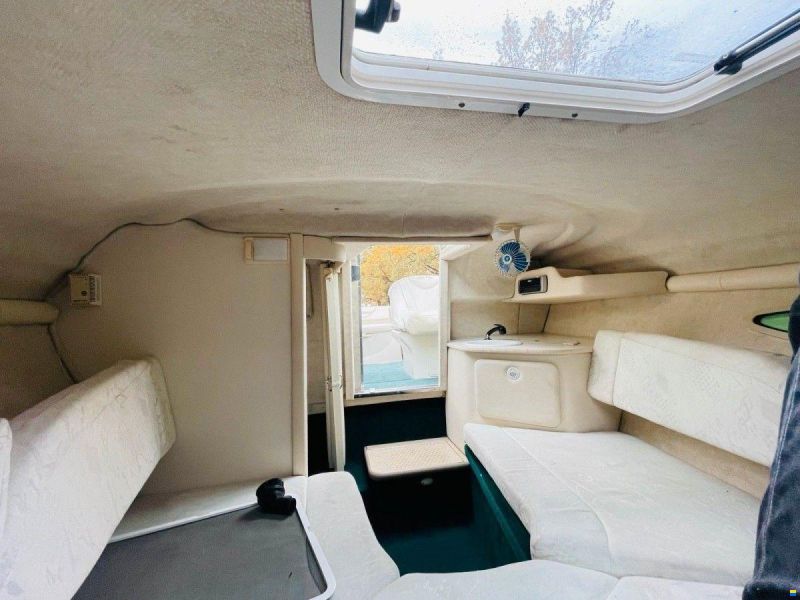 Sea Ray 225