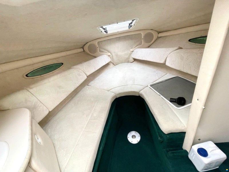 Sea Ray 225