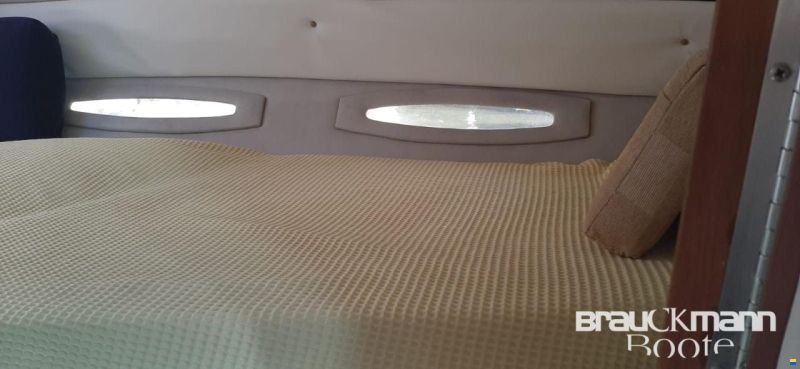 Sea Ray 310 SAD