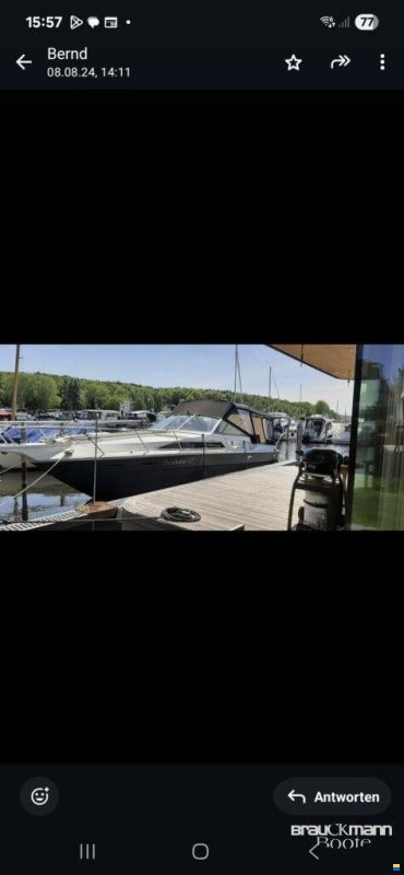 Sea Ray 310 SAD