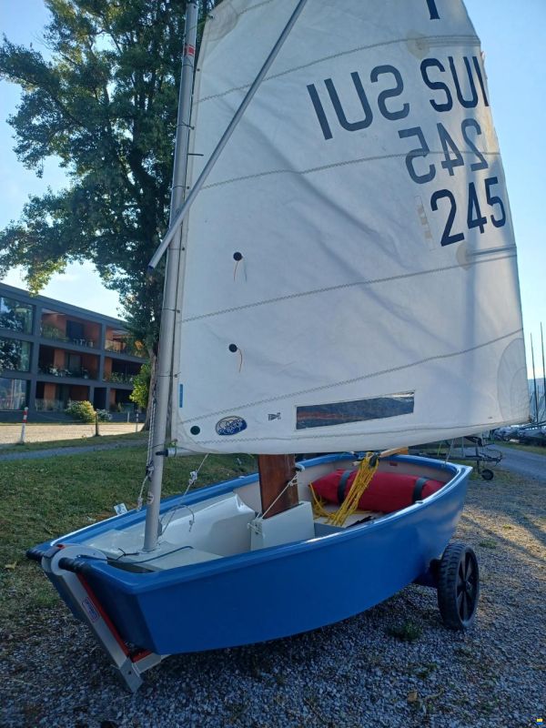 Optimist SUI 245
