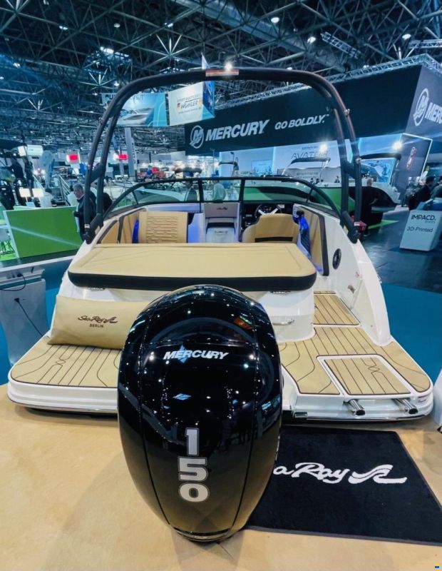 Sea Ray 190 SPO