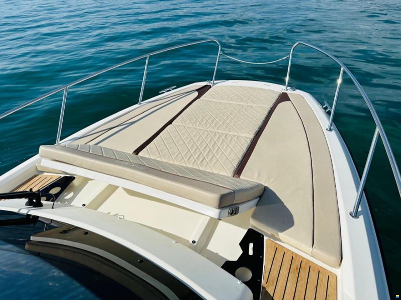 Quicksilver 875