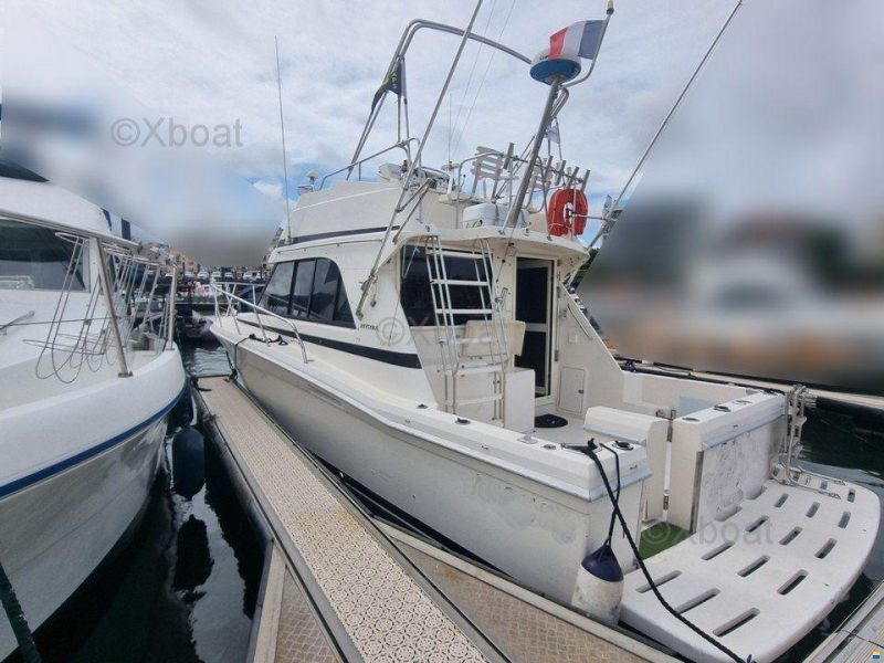 Riviera 33 FLYBRIDGE