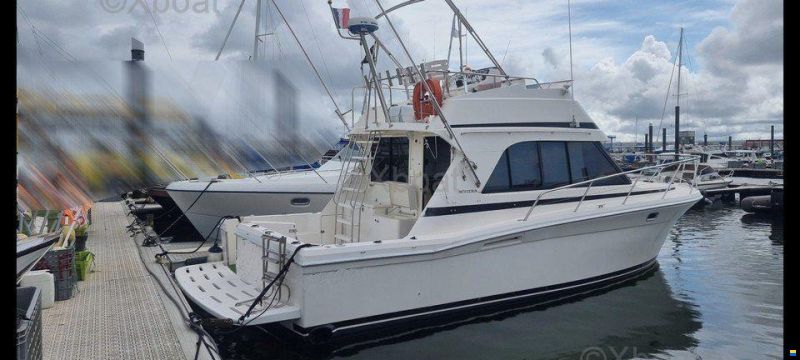 Riviera 33 FLYBRIDGE
