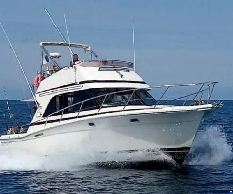 Riviera 33 FLYBRIDGE