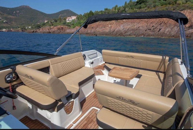 Sea Ray 250 SDX