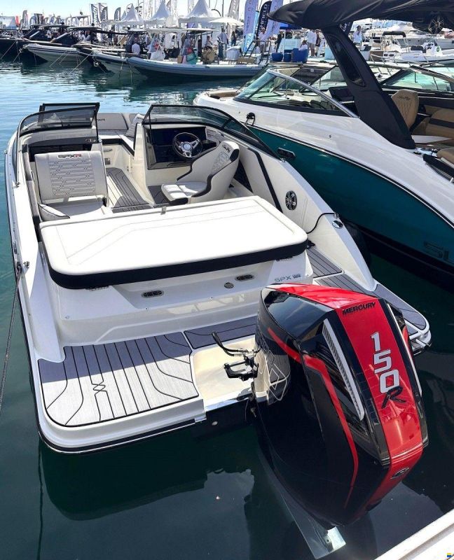 Sea Ray 190 SPN RACING