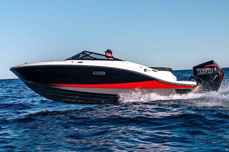 Sea Ray 190 SPN RACING