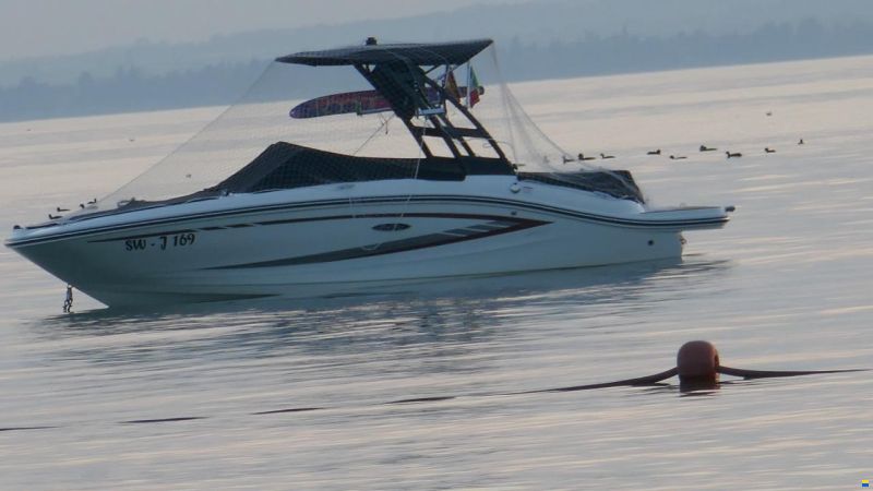 Sea Ray SPX 19