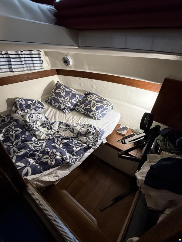 Marex 77 Holiday