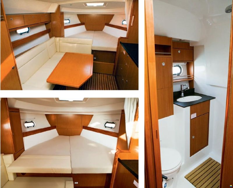 Bavaria Sport 31