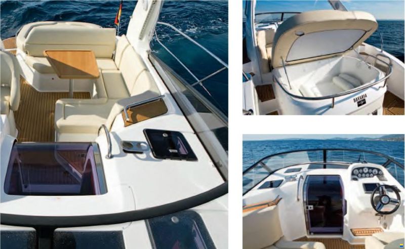 Bavaria Sport 31