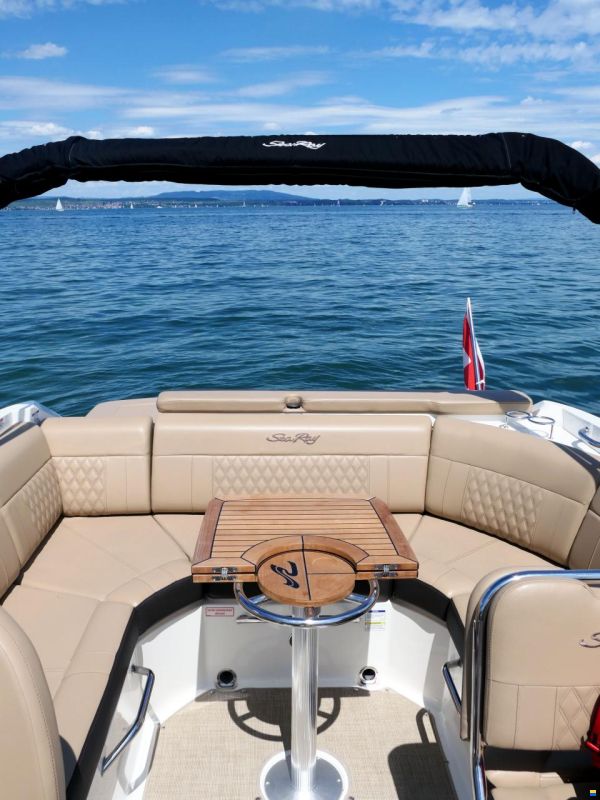 Sea Ray 250 SLX