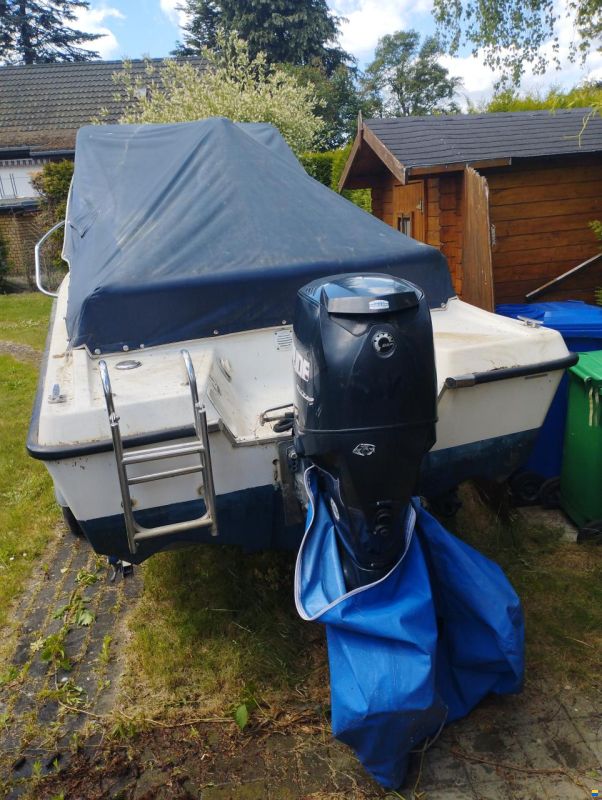 Bartex Rybi 535