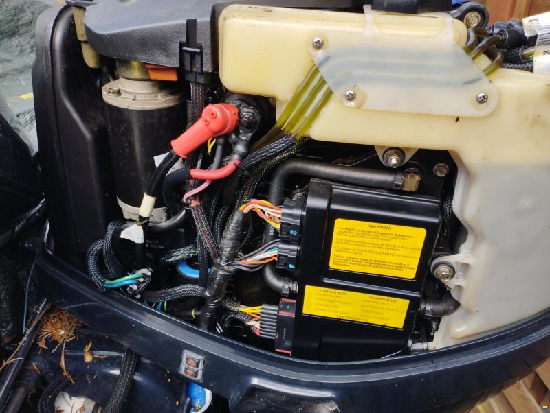 Bartex Rybi 535