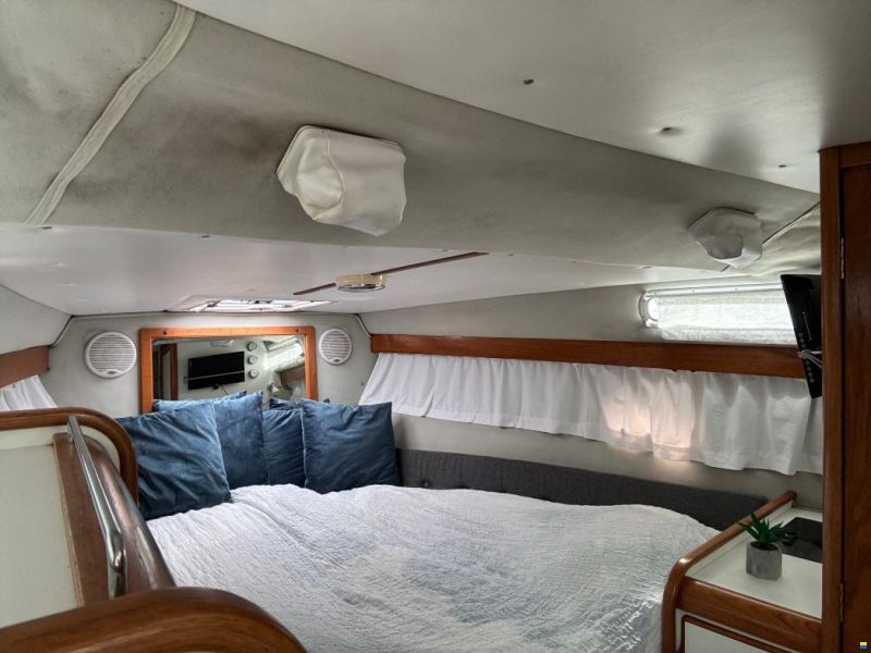 Nimbus 29 DC