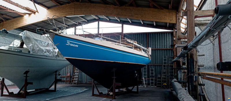 Deerberg Saphir III
