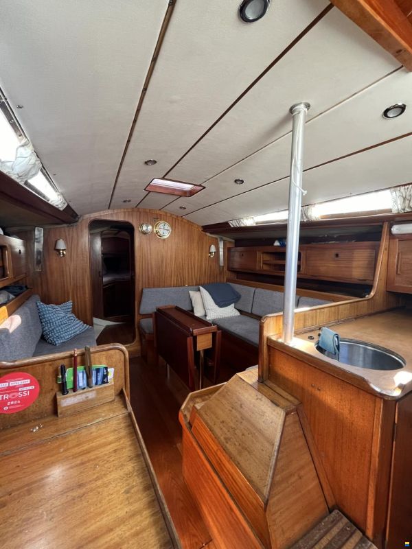 Bianca 36