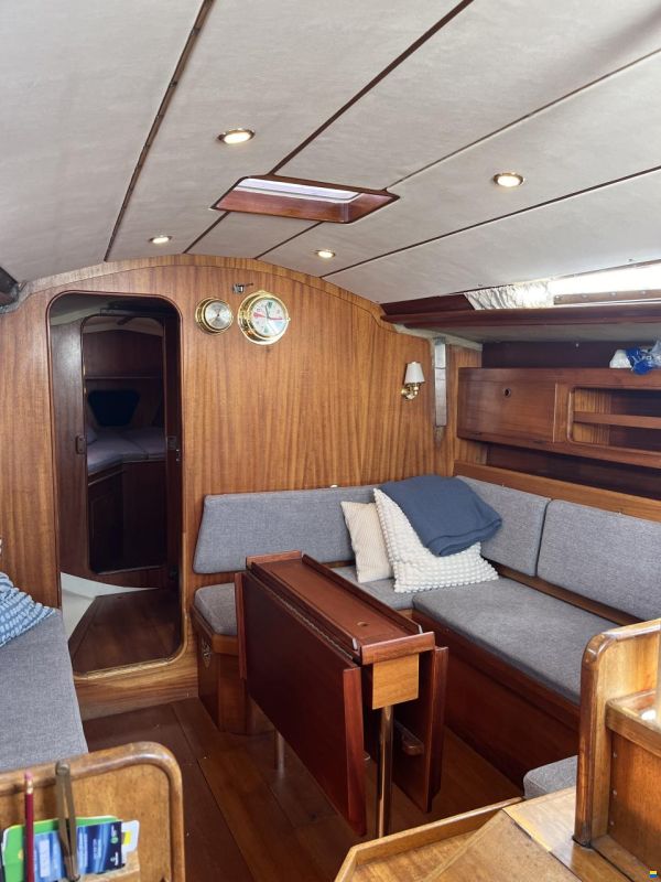 Bianca 36