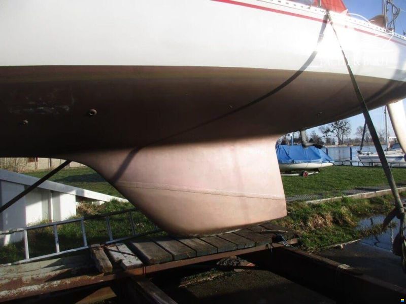 Ylva 40