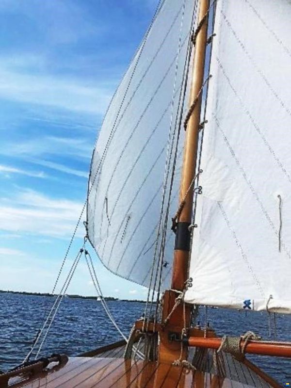Van Der Meulen Kajuitzeilschouw 800