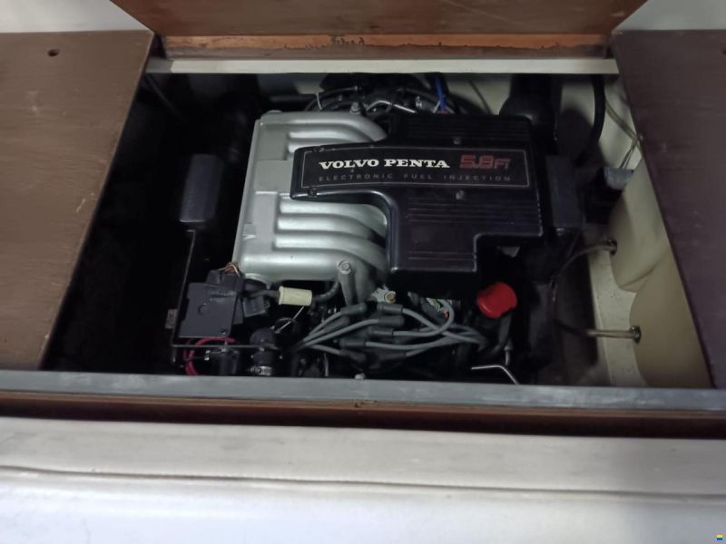 Schweizer Bateaux saphir