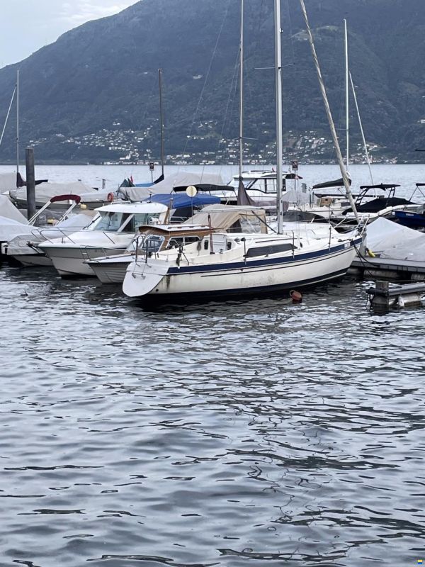 Schöchl Sunbeam 25