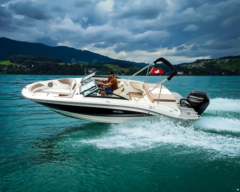 Sea Ray SPX 190 OB