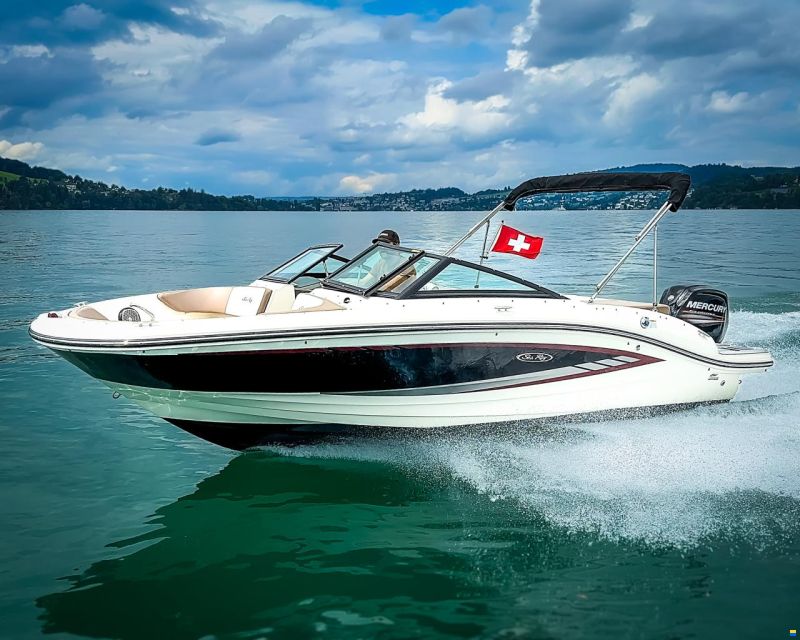Sea Ray SPX 190 OB